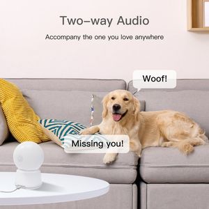 Arenti P2F Wifi Beveiligingscamera Voor Binnen - Huisdiercamera - Babyfoon - 5MP - Beweegbaar - Dual-Band Wifi - Draadloos - Full360° bewaking - Geen Blinde Vlekken - Geen Maandelijkse Kosten - HD - Besturing via App - Onvif