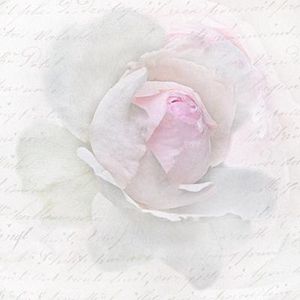 Sagen Vintage Design, Pink rose letter papieren servetten