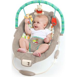 Disney Baby Winnie The Pooh Wip Met Vibraties, Automatische Uitschakelfunctie, Melodie�ën, Volumeregelaar, Afneembare Hoofdsteun En Speelboog, Grijs, 48.26 x 58.42 x 58.42 cm