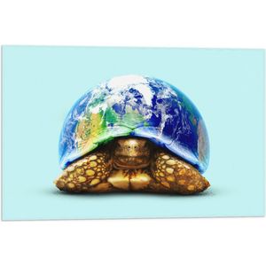 WallClassics - Vlag - Gouden Schildpad met Huis van Wereld - 60x40 cm Foto op Polyester Vlag