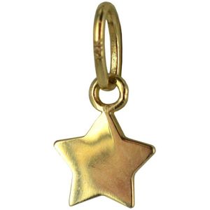 Silventi 132400337 Gouden Hangertje - Dames - Ster - 5,5 mm - 14 Karaat - Bedel - Goud