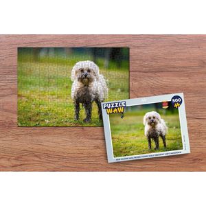 Puzzel Een kleine Maltezer hond half bedekt met modder - Legpuzzel - Puzzel 500 stukjes