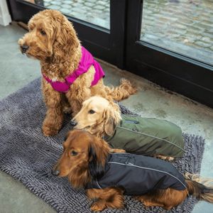 Jack And Vanilla - Jassen - Expedition Jas - Fuchsia - Sm Expja4235 - 175490