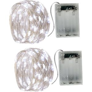 Kerst - 2x5M - LED Verlichting - Knipperend