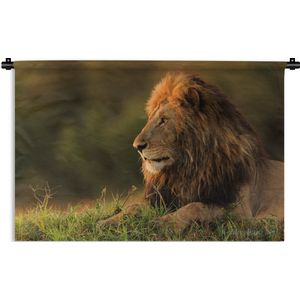 Wandkleed Leeuw - nieuw - Een leeuw in het ochtendlicht Wandkleed katoen 180x120 cm - Wandtapijt met foto XXL / Groot formaat!