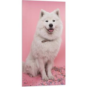 WallClassics - Vlag - Portret van Witte Hond tegen Roze Achtergrond met Confetti - 50x100 cm Foto op Polyester Vlag