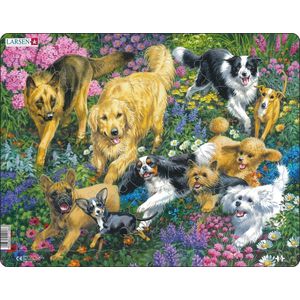 Honden in een bloemenveld (32 stukjes, Frame puzzel)