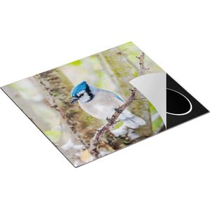 Chefcare Inductie Beschermer Blauwe Gaai Vogel in de Sneeuw - 60x50 cm - Afdekplaat Inductie - Kookplaat Beschermer - Inductie Mat