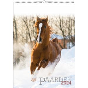 Paarden kalender 2024