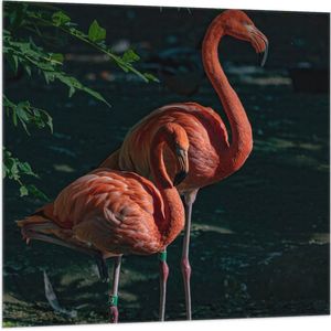 WallClassics - Vlag - Flamingo Duo tussen Groene Takken - 100x100 cm Foto op Polyester Vlag