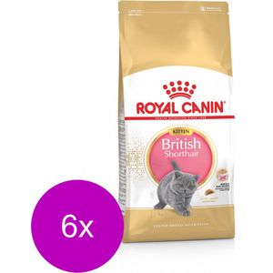 Royal Canin British Shorthair Kitten - Kitten-Kattenvoer - 6 x 2 kg