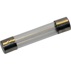 Festoon 0.95W 150mA 6.3V - C5W C10W - 6x32mm - Geschikt voor auto, motor en elektronische toepassingen