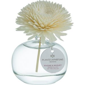 Plantes & Parfums Pioenroos Bloem Geurstok - Interieurparfum - Bloemige Geur - 100ml