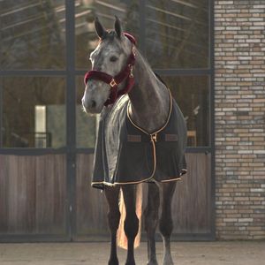 Cavar Vliegendeken Zwart 205cm - vliegendek - vliegen deken - paard