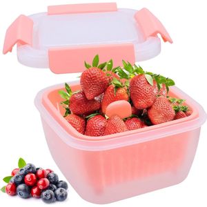 Groenten- en fruitlade, opbergdoos voor de koelkast of keukenkast, koelbox van kunststof met zeefinzet