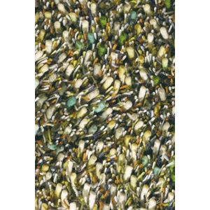 Vloerkleed Brink & Campman Spring Evergreen 59107 - maat 200 x 300 cm