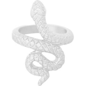 Ring Flawless Snake | Ringen| Zilver |Yehwang | Cadeau voor haar | Tieners | Moederdag