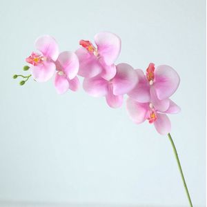 Orchidee - zijden bloemen - 4 stelen - roze - onderhoudsvrij - 84 cm - kunstbloemen