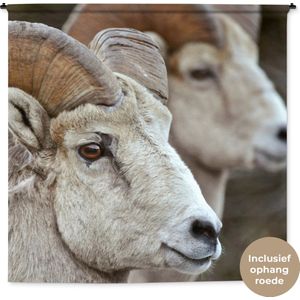 Wandkleed - Wanddoek - Ram - Hoorn - Schapen - 180x180 cm - Wandtapijt