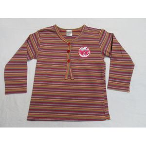 dirkje , meisjes, t-shirt lange mouw , streepje orange /taupe/ rood/roze/geel  , 5 jaar 110