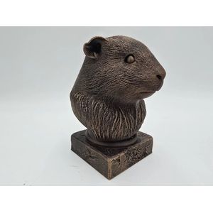 Guinea Pig dierenbeeld - Buste van dierenkop 20cm | Realistisch & Decoratief Beeldje voor Thuis of Kantoor