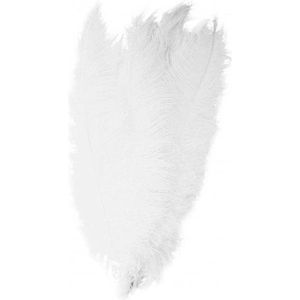 2x Grote veren/struisvogelveren wit 50 cm - Carnaval feestartikelen - Sierveren/decoratie veren - Musketier - Charleston veren