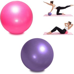 2 x Pilatesbal 9"" Kleine oefenbal Stabiliteitsbal Yoga Barre Core Training Fysiotherapie met opblaasbaar rietje