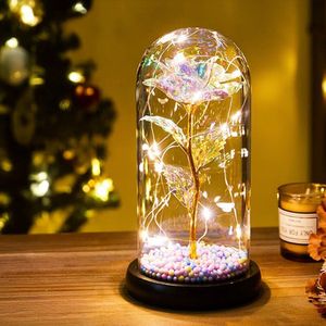 Eternal Rose in Stolp – Met 20 LED’s – Romantisch Cadeau - Warm licht - 21cm