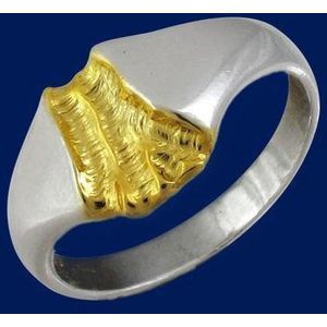 Rivier van goud, Zilveren ring 21.5mm