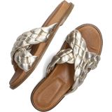 Notre-V 22906009 Slippers - Dames - Goud - Maat 36