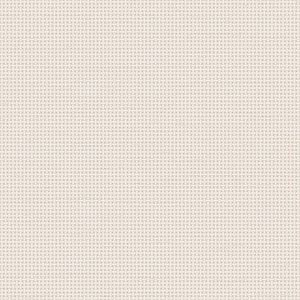 Dutch Wallcoverings - Tapestry Weave plain White - TP422601