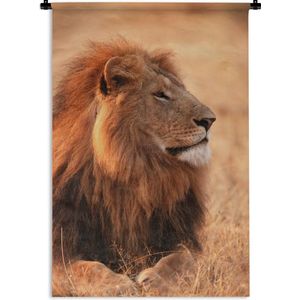 Wandkleed Leeuw - nieuw - Een leeuw geniet van de zon Wandkleed katoen 60x90 cm - Wandtapijt met foto