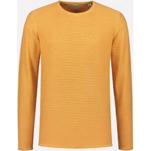 Pullover Ronde Hals Slim Fit Oranje (405254 - 441)