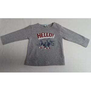 T-Shirt met lange mouwen - Jongens - Grijst - Dino Hello - 6 maand 68