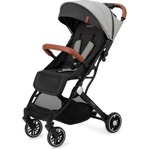 Buggy vanaf 6 maanden (tot 15 kg) met 5-punts riem, boodschappenmand en telescoopstang - inklapbaar Kinderwagen