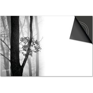 Inductie beschermer 77x51 - afdekplaat inductie mat - Dietrix Kookplaat beschermer - Exclusief - Herfst - Bos zwart wit