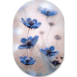Cosmos - Bloemen - Natuur - Blauw Kunststof plaat (5mm dik) - Ovale spiegel vorm op kunststof