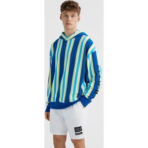 O'NEILL Truien BRIGHTS TERRY HOODIE