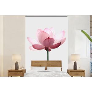 Bloemen - Roze - Natuur - Botanisch - Behangpapier