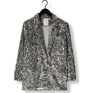 Notre-V Nv-christine Glitter Velvet Blazer Blazers Dames - Zilver - Maat M