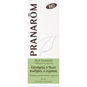 Pranarôm Gevulde Eucalyptus Etherische Olie met Cryptone (Eucalyptus Polybractea ct Criptone) Bio 10 ml