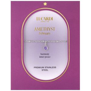 Lucardi Dames Stalen goldplated armband geboortesteen februari - Armband - Staal - Zilver - 19 cm