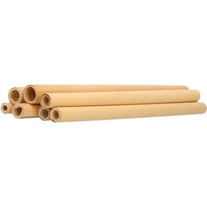 8x Duurzame bamboe houten rietjes 20 cm - Milieuvriendelijk en biologisch - drinkrietjes