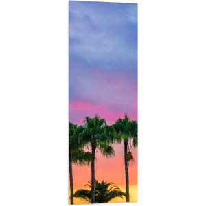 WallClassics - Vlag - Palmbomen met Kleurrijke Lucht - 40x120 cm Foto op Polyester Vlag