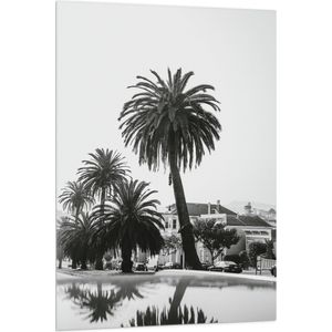 WallClassics - Vlag - Palmbomen in Amerikaanse Buurt (Zwart- wit) - 80x120 cm Foto op Polyester Vlag