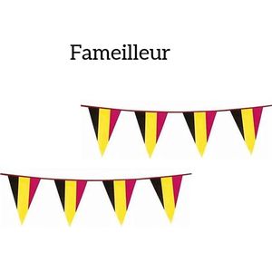 Fameilleur- Vlaggenlijn 10 meter- EK 2024- België- versiering- Europees kampioenschap- vlaggen lijn- slingers- slinger- versiering voor thuis- versiering straat