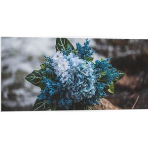 WallClassics - PVC Schuimplaat- Foto van een Klein Boeket met Witte en Blauwe Bloemen - 100x50 cm Foto op PVC Schuimplaat