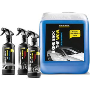 Kärcher Auto Reinigingsset – Autoshampoo, 5L – Velgenreiniger 2x -  Insectenverwijderaar