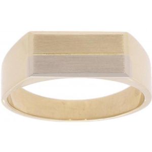 Verlinden Juwelier - Ring - Heren - Geel/wit gouden - 14 karaat - maat 19 - 4 gram