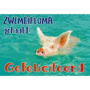 Zwemdiploma gehaald! Van harte gefeliciteerd! Een grappige kaart met een varken in het water die heerlijk aan het genieten is. Een leuke kaart om zo te geven of om bij een cadeau te voegen. Een dubbele wenskaart inclusief envelop en in folie verpakt.